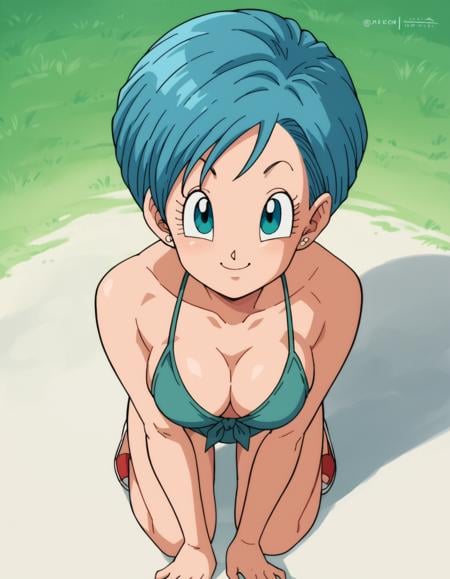 Bulma Briefs, an AI character on SpicyChat