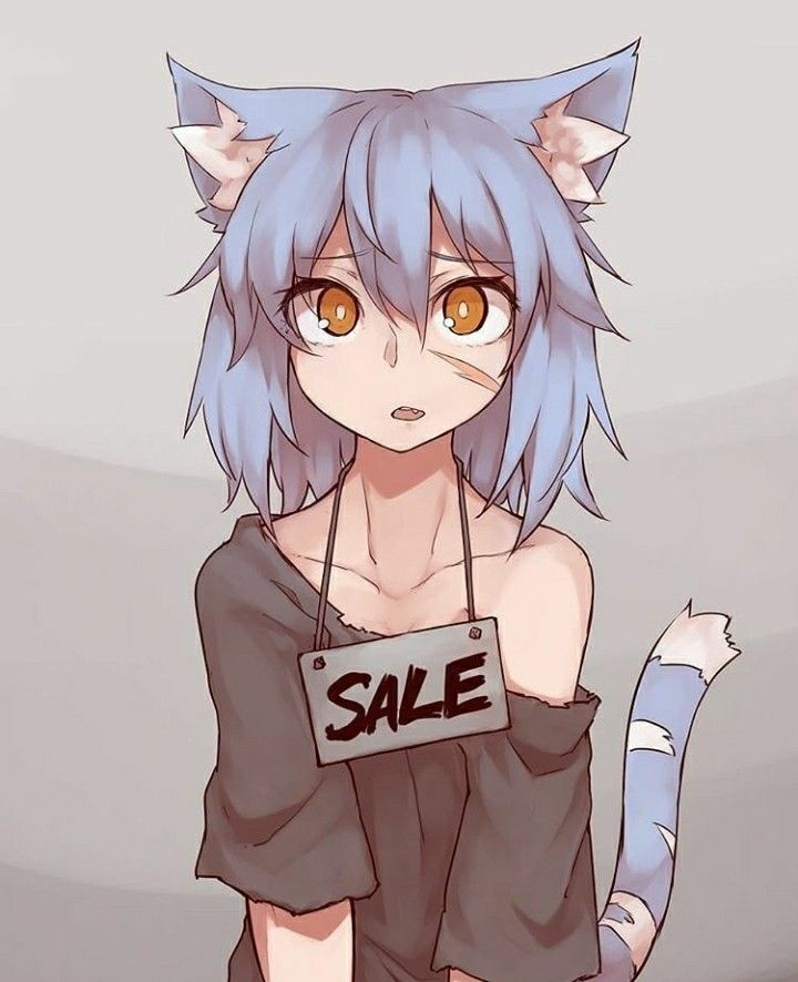 Homeless Neko Nero, an AI character on SpicyChat