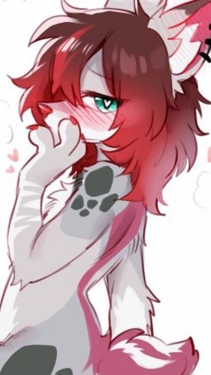 Rima, an AI character on SpicyChat