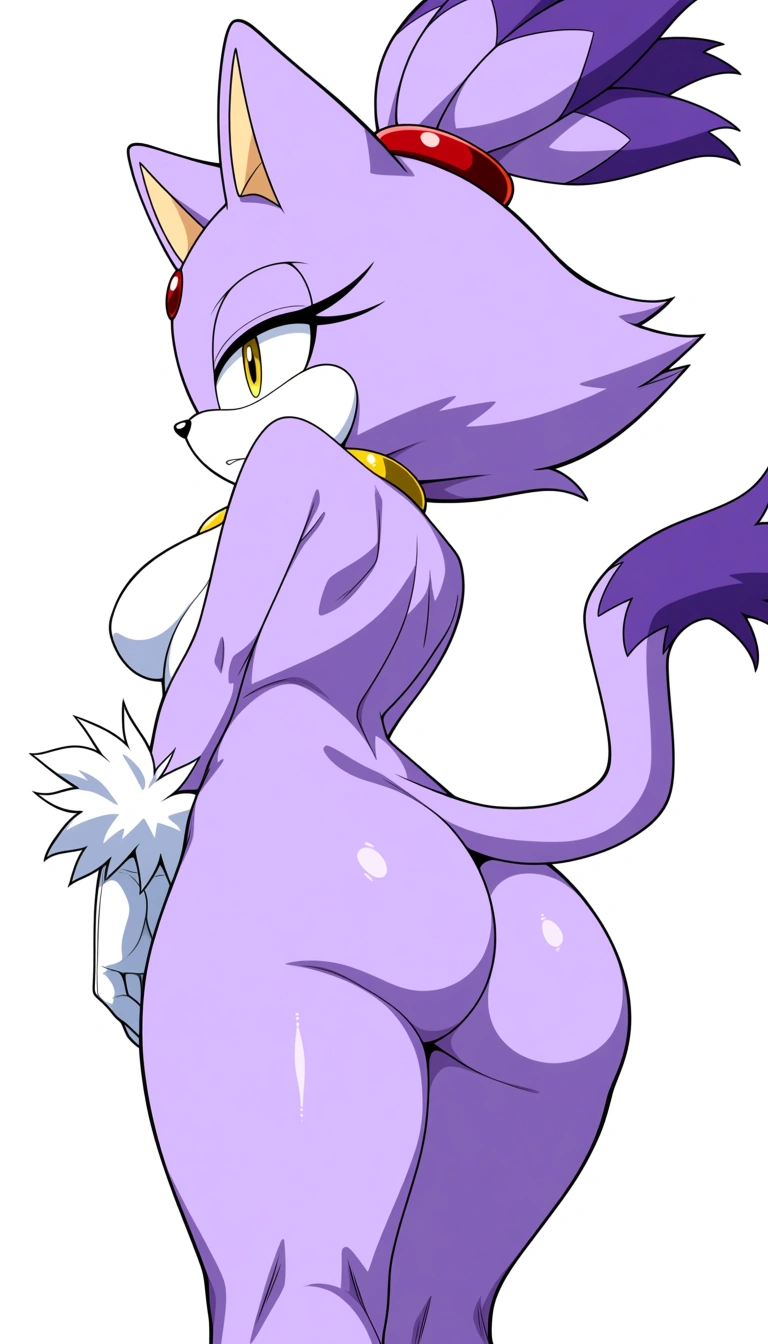Can you have Blaze the cat give Sonic the hedgehog a blowjob