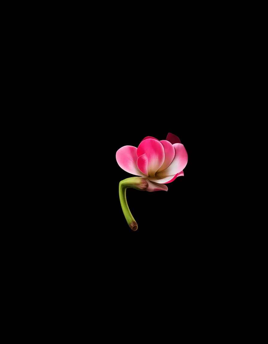 best quality, hyperrealistic, 1girl, flower, blowjob, RAW photo, hentai_studio_quality